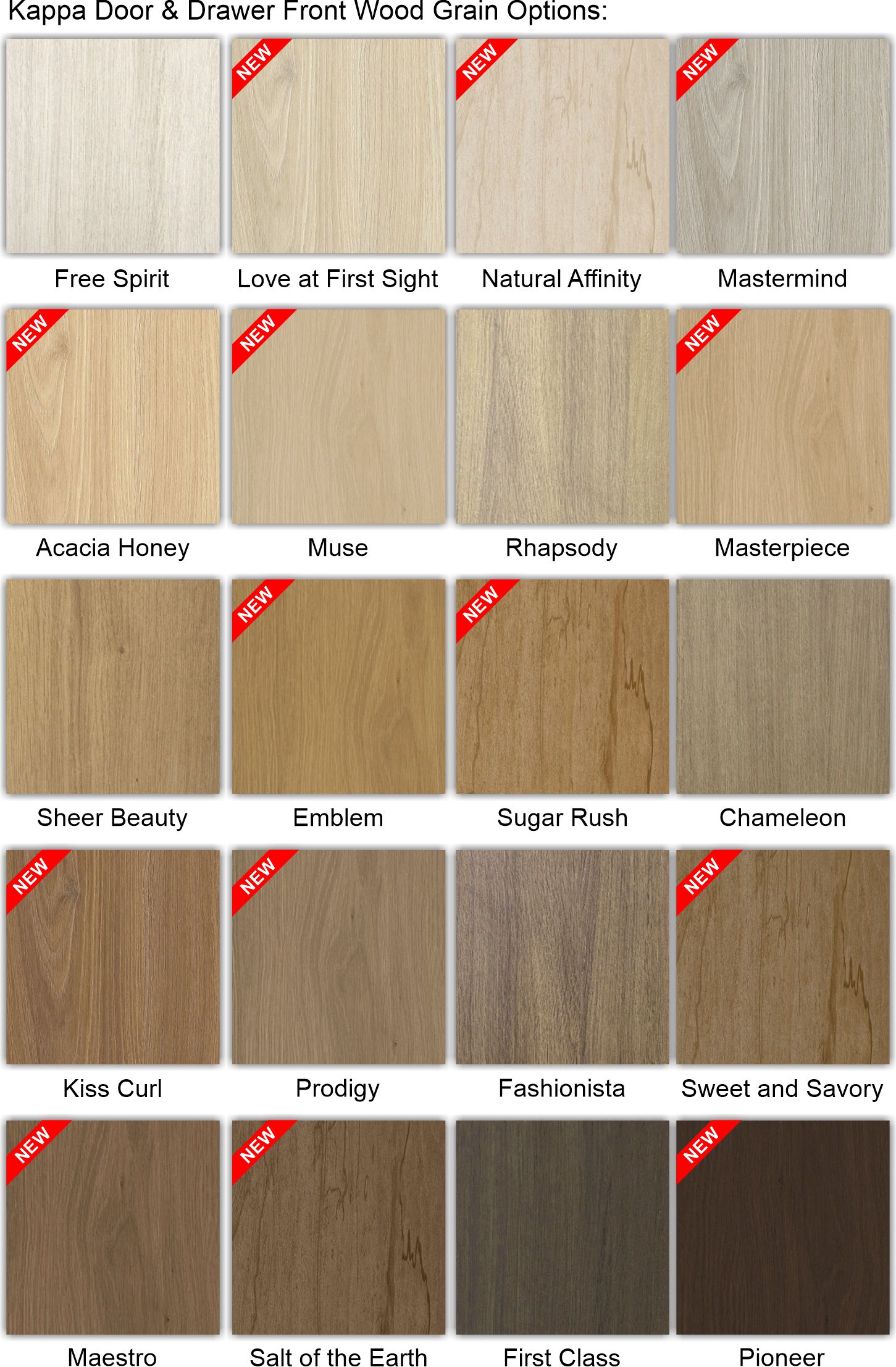 Laminae Color Kappa is the NEW Gamma Slim Shaker!
