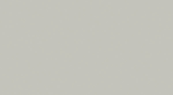 Matte Dove W049