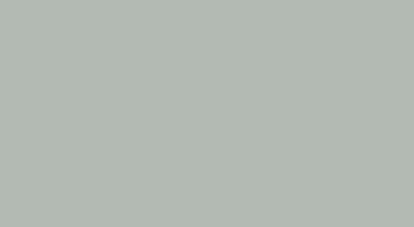 Matte Succulent S047