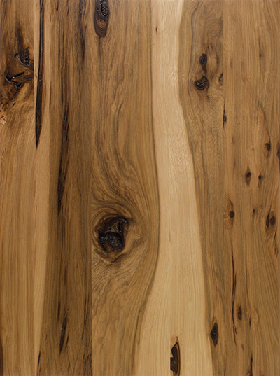 Rustic Hickory